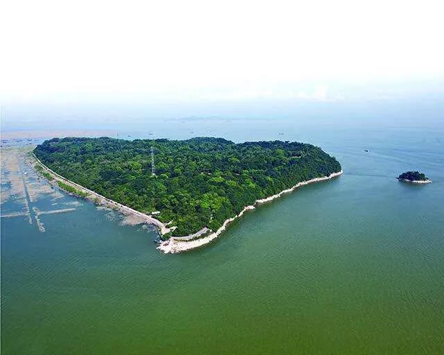 微信圖片_20200207122639.jpg 微信圖片_20200207122639.jpg